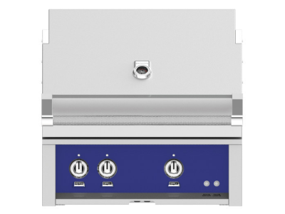 30" Hestan Outdoor Built-In Grill With Natural Gas in Prince - GABR30-NG-BU