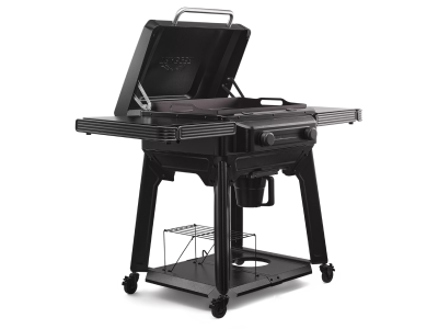 Traeger Flatrock 2 Zone Griddle - TF2NN46DNC