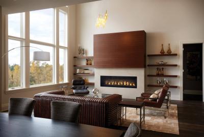 Napoleon Luxuria 62 Direct Vent Gas Fireplace - LVX62NX-1